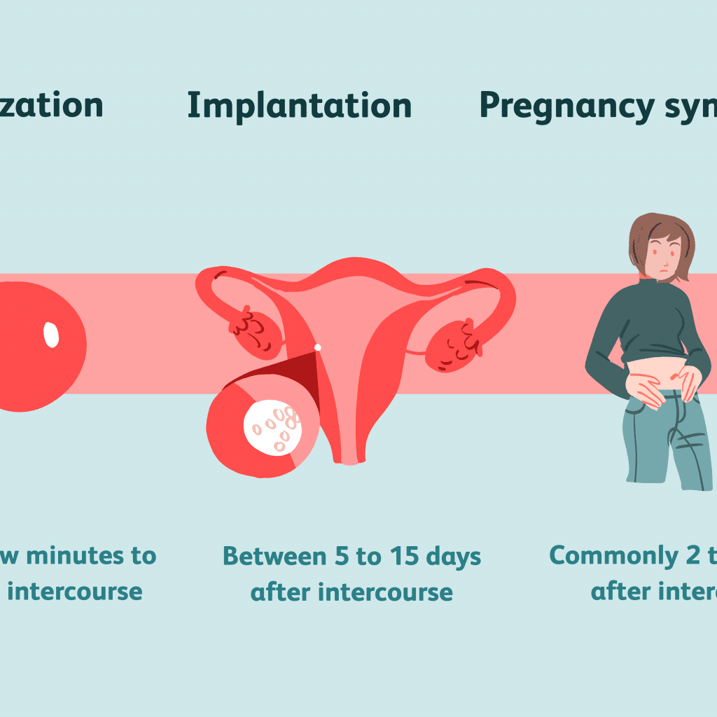 How Soon After Your Period Can You Get Pregnant - PeriodProHelp.com